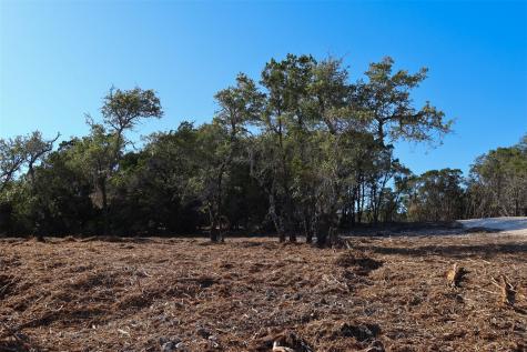 3101 - 4 Longhorn Trail Trail Wimberley TX 78676