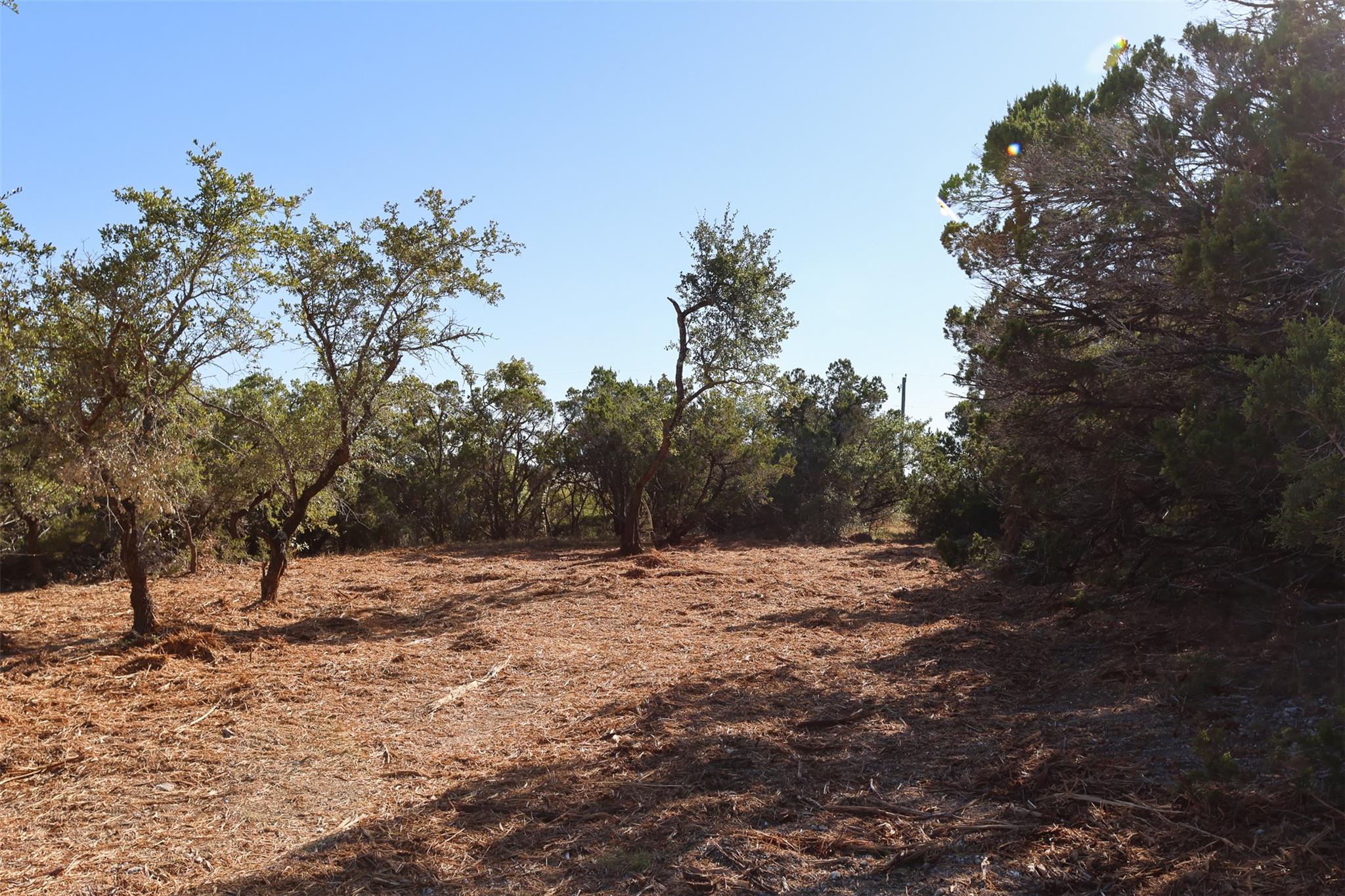 3101 - 4 Longhorn Trail Trail Wimberley TX 78676