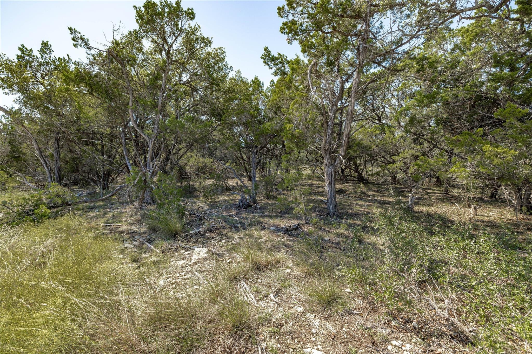 Tbd County Road 281 Lot 3 Leander TX 78641