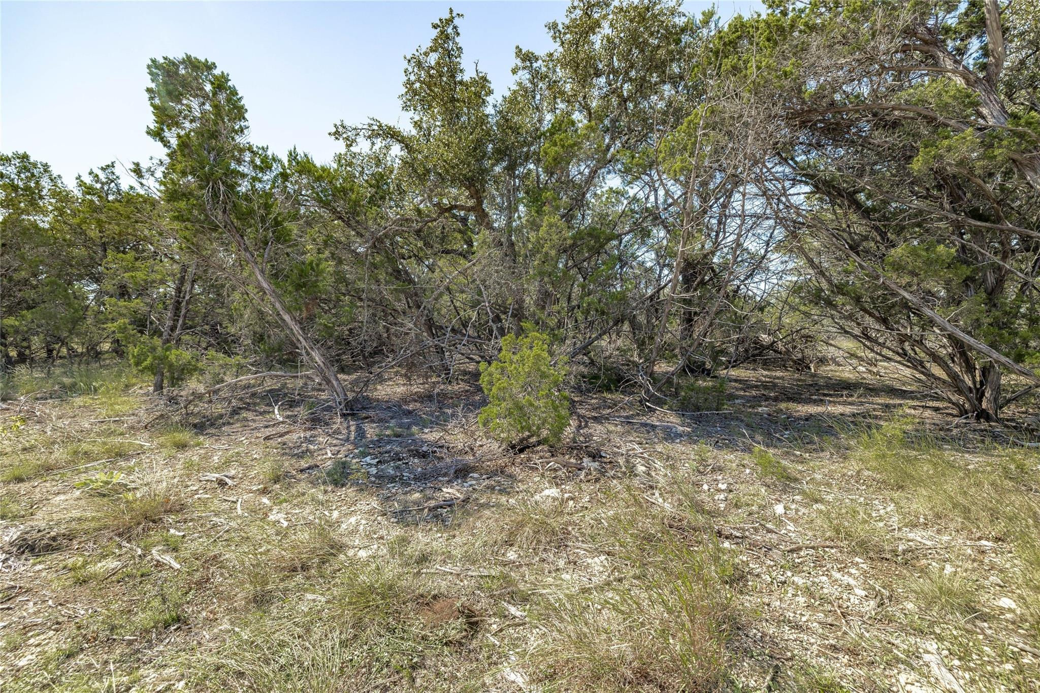Tbd County Road 281 Lot 3 Leander TX 78641