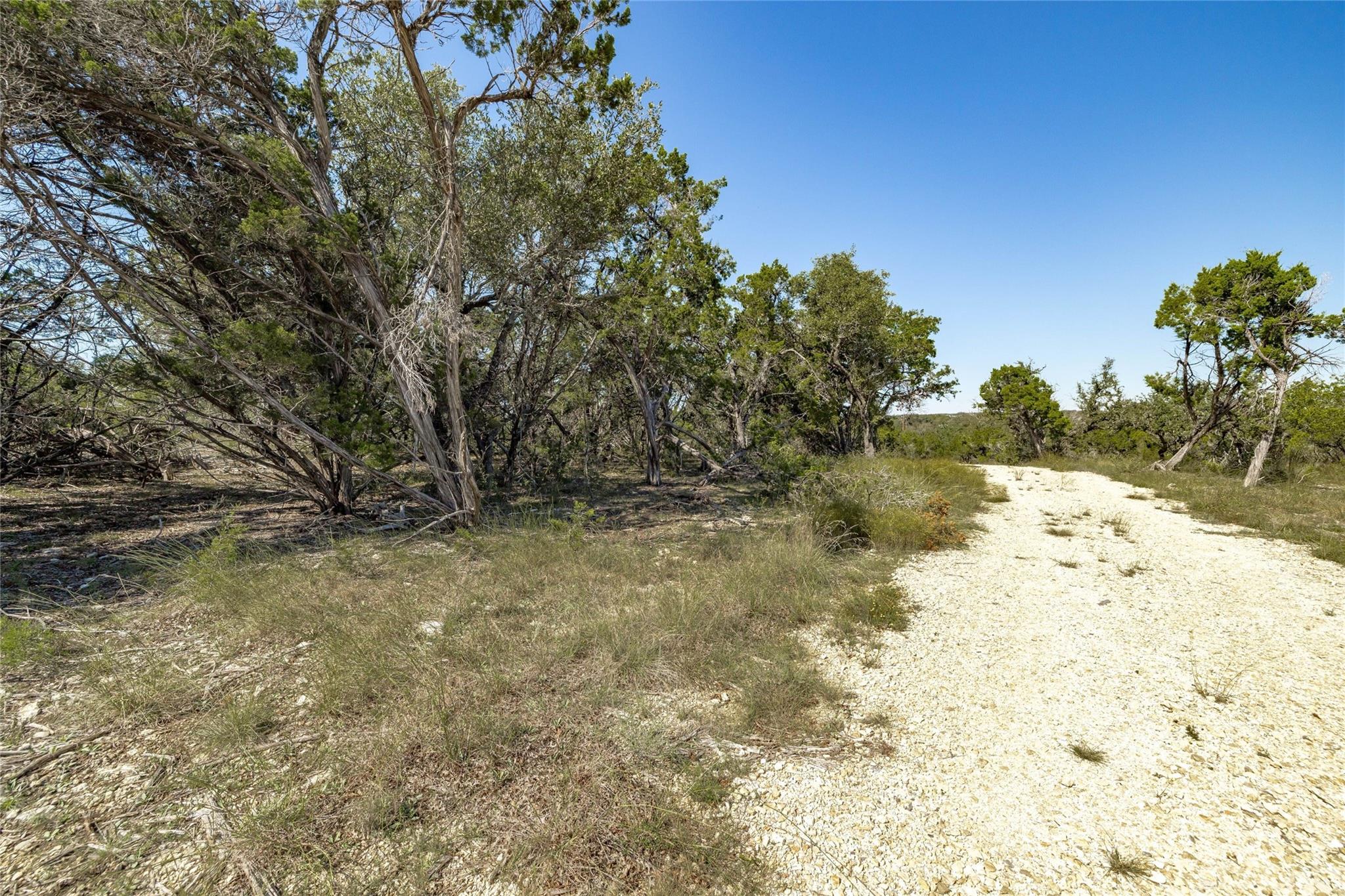 Tbd County Road 281 Lot 3 Leander TX 78641