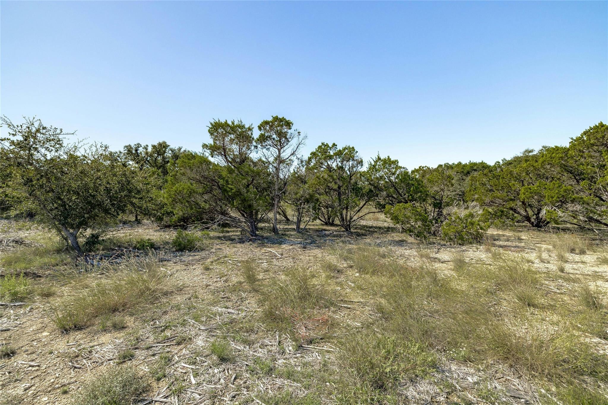 Tbd County Road 281 Lot 3 Leander TX 78641