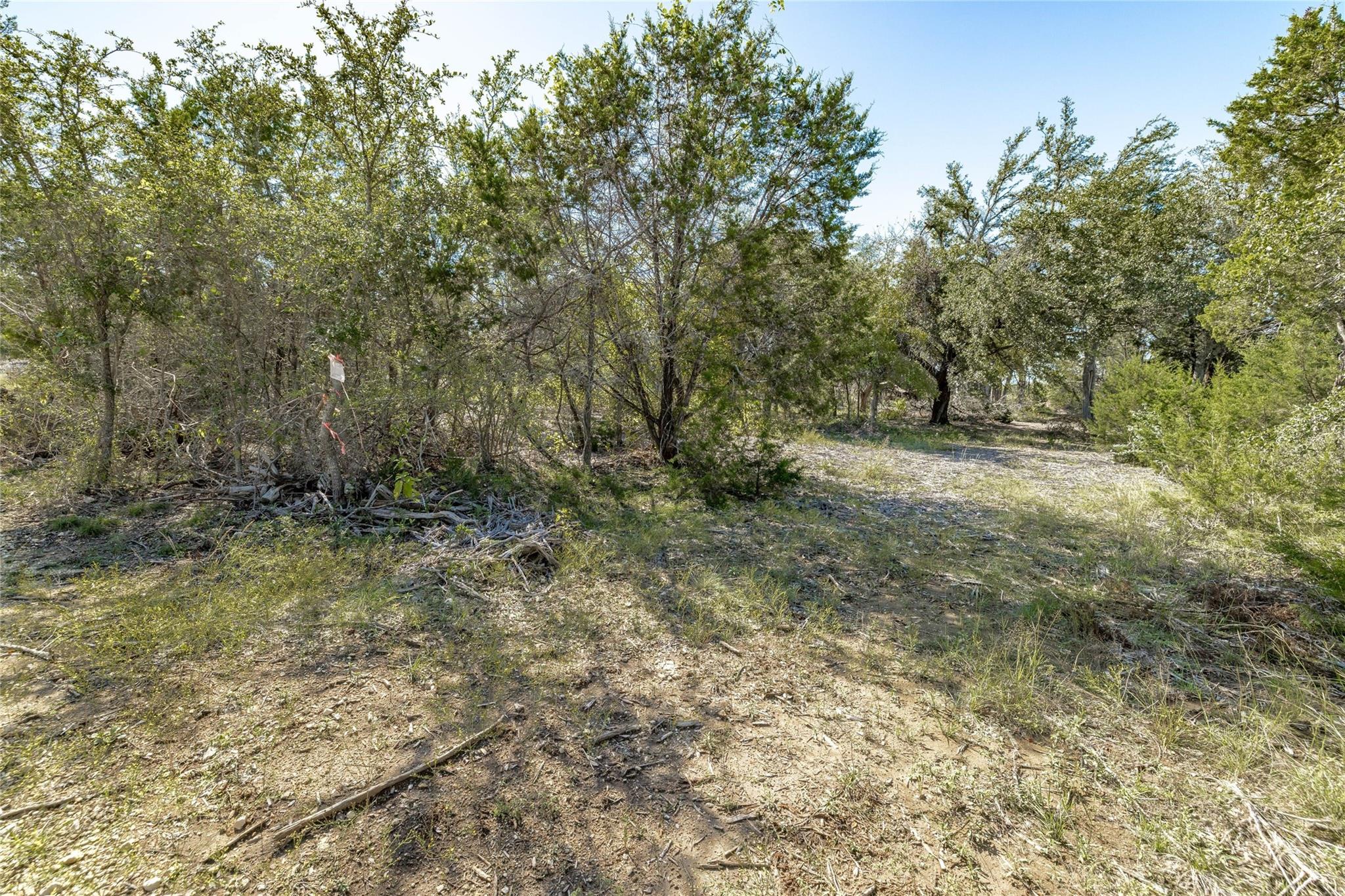 Tbd County Road 281 Lot 3 Leander TX 78641