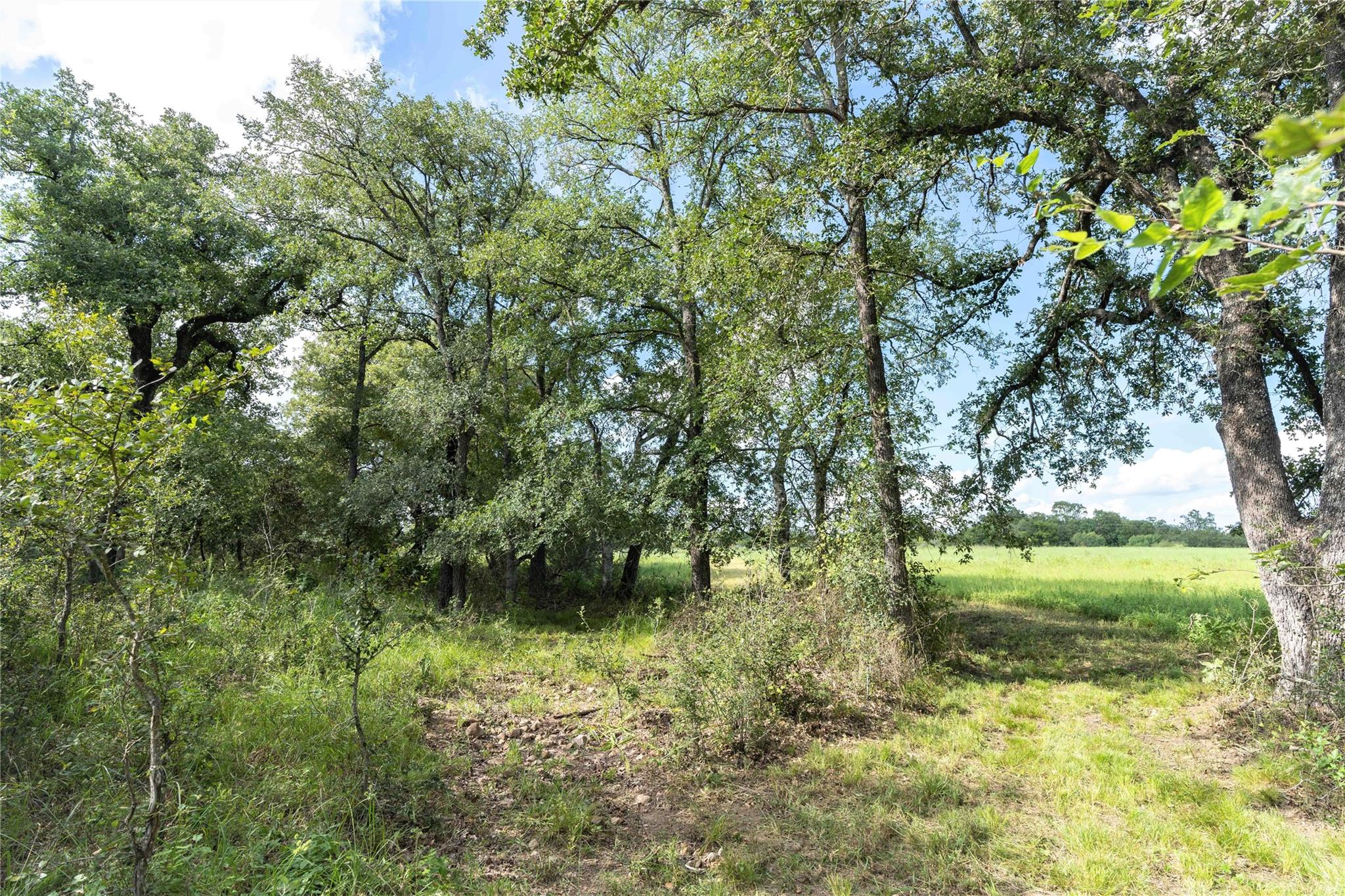 0 S Highway 183 Lockhart TX 78644