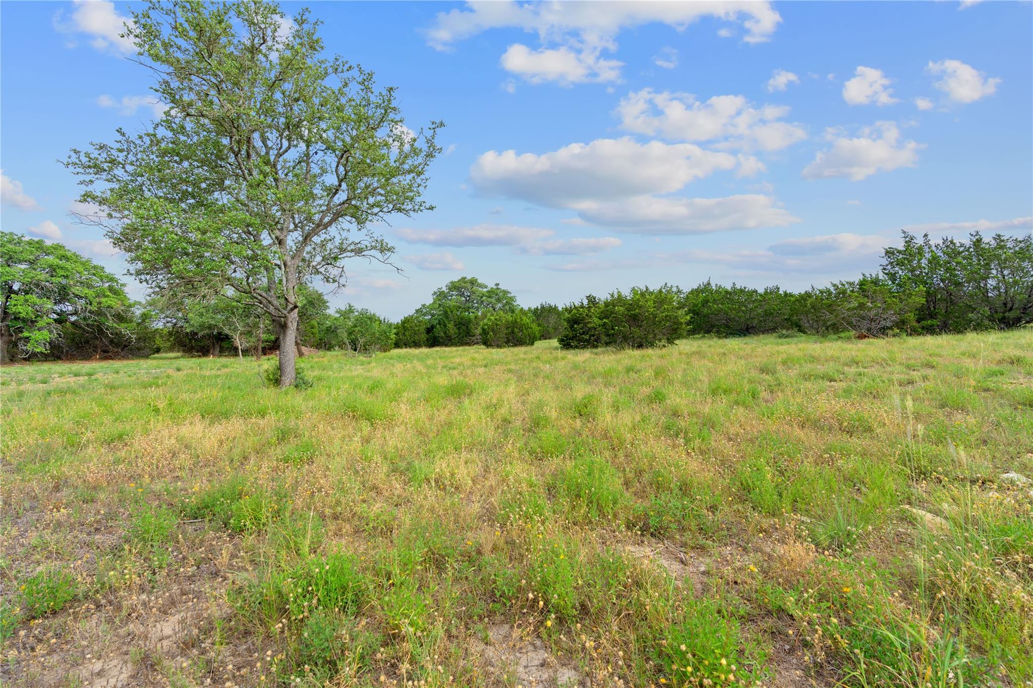 11288 S Fm 1174 Bertram TX 78605