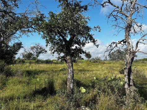Lot #8, Calle Del Sol Drive Fredericksburg TX 78624