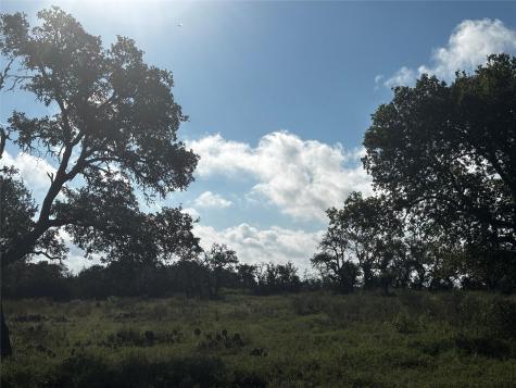 Lot #8, Calle Del Sol Drive Fredericksburg TX 78624
