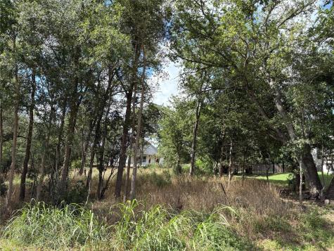 111 W Kikipua Lane W Bastrop TX 78602