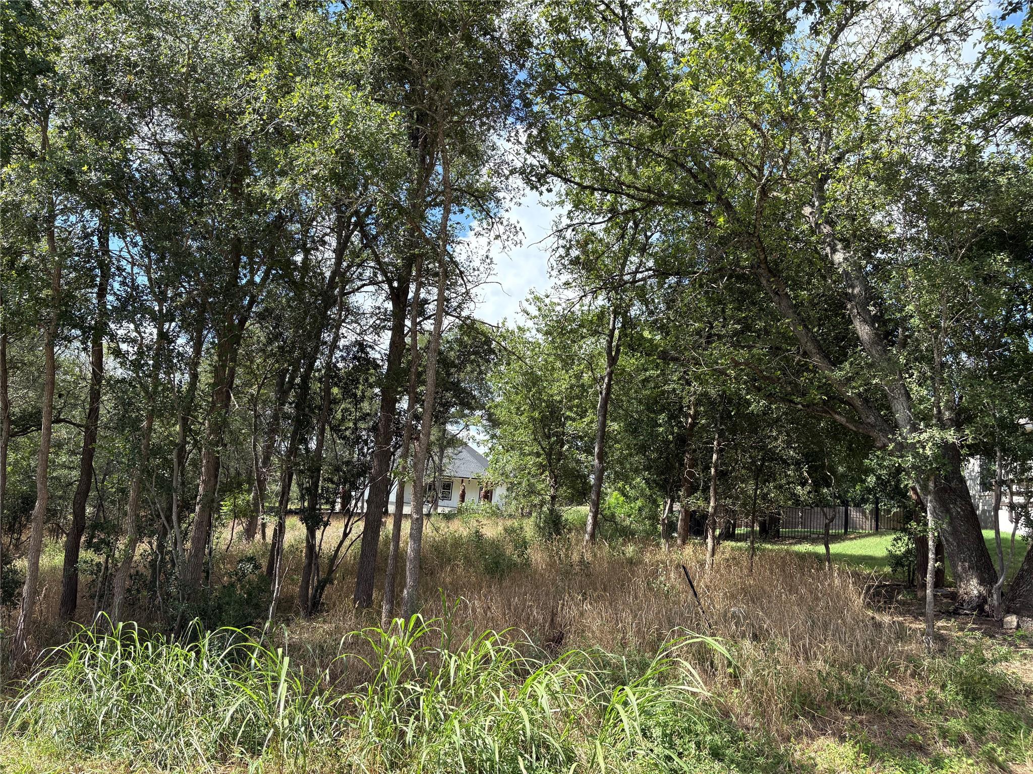 111 W Kikipua Lane W Bastrop TX 78602