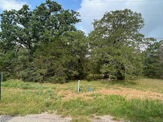 Tbd Wigwam (Lots 87 & 88) Street Smithville TX 78957