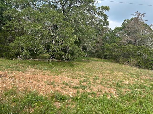 Tbd Wigwam (Lots 87 & 88) Street Smithville TX 78957