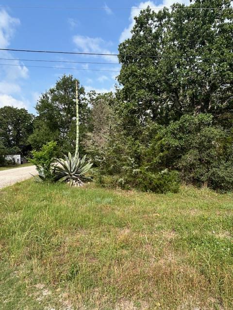 Tbd Wigwam (Lots 87 & 88) Street Smithville TX 78957