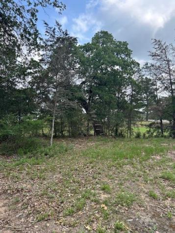 Tbd Wigwam (Lots 87 & 88) Street Smithville TX 78957