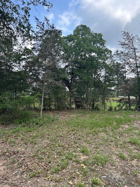 Tbd Wigwam (Lots 87 & 88) Street Smithville TX 78957