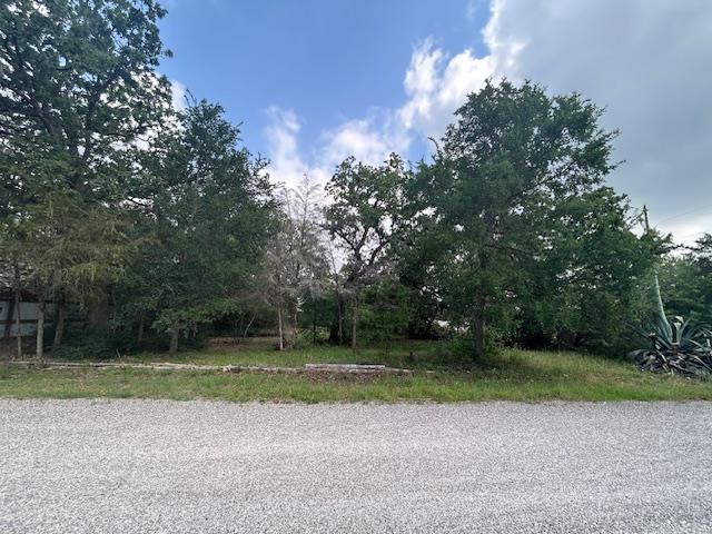 Tbd Wigwam (Lots 87 & 88) Street Smithville TX 78957