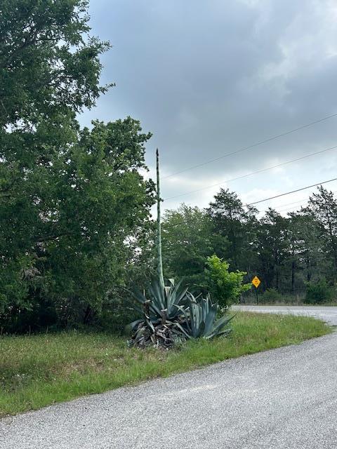 Tbd Wigwam (Lots 87 & 88) Street Smithville TX 78957
