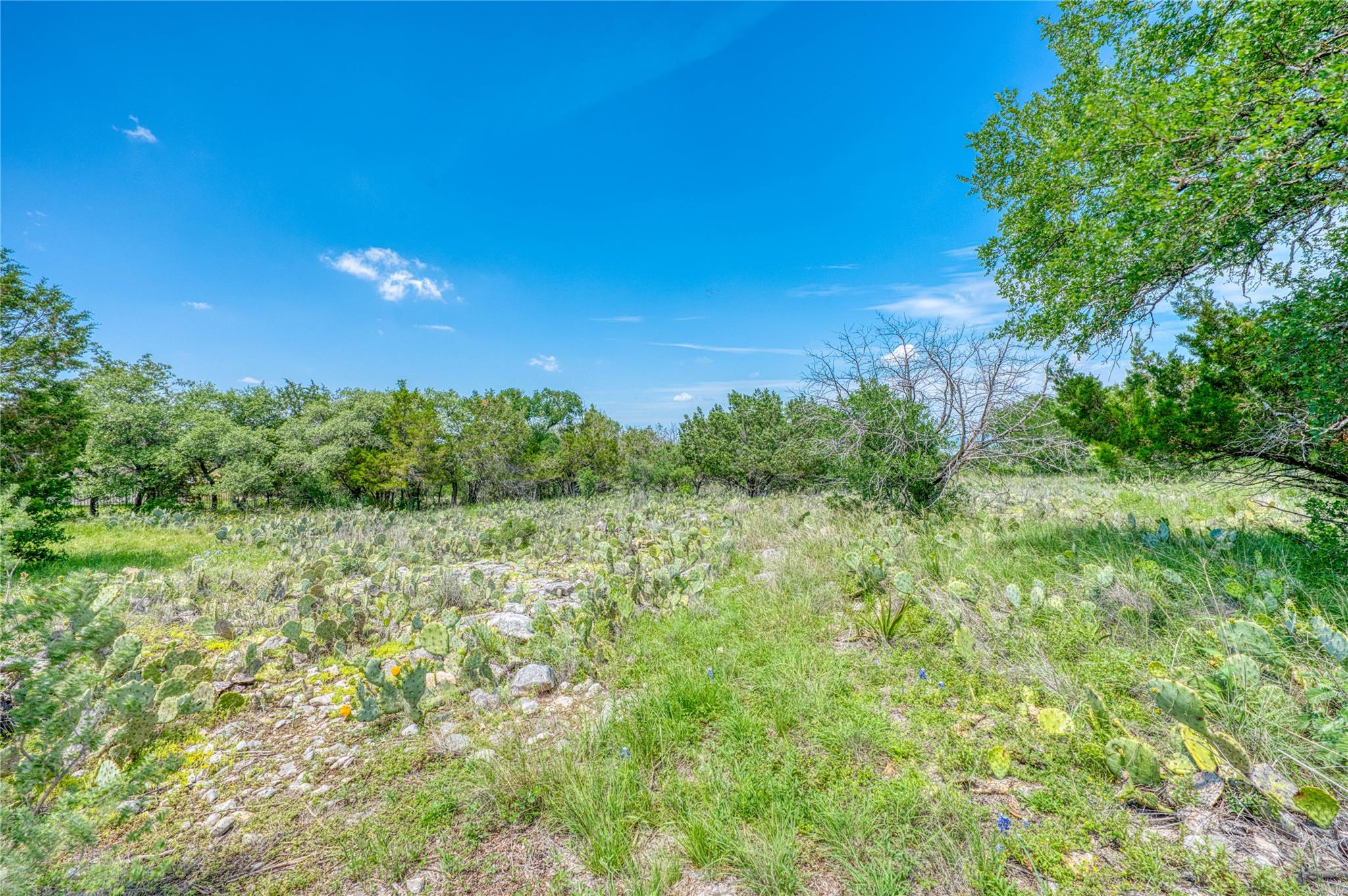204 Mount Dew Road Horseshoe Bay TX 78657