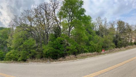 162 & 164 W Kaanapali Lane Bastrop TX 78602