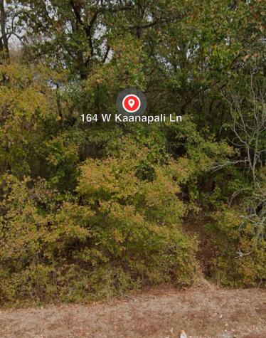 162 & 164 W Kaanapali Lane Bastrop TX 78602