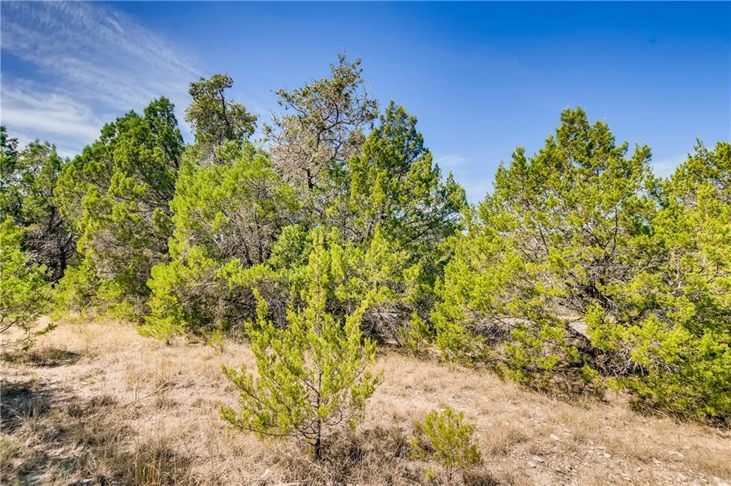 2807 Newton Drive Lago Vista TX 78645