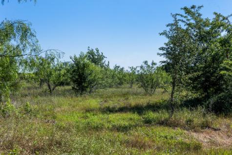 Tract 1 Tbd Lcr 392 Groesbeck TX 76642