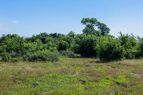 Tract 1 Tbd Lcr 392 Groesbeck TX 76642