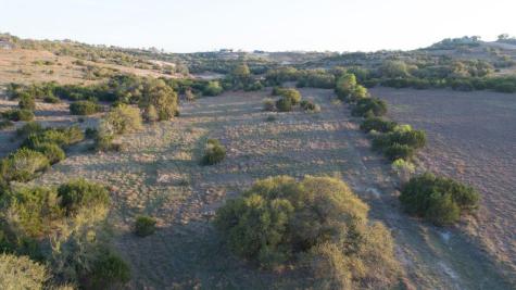 105 Majestic Hills Blanco TX 78606