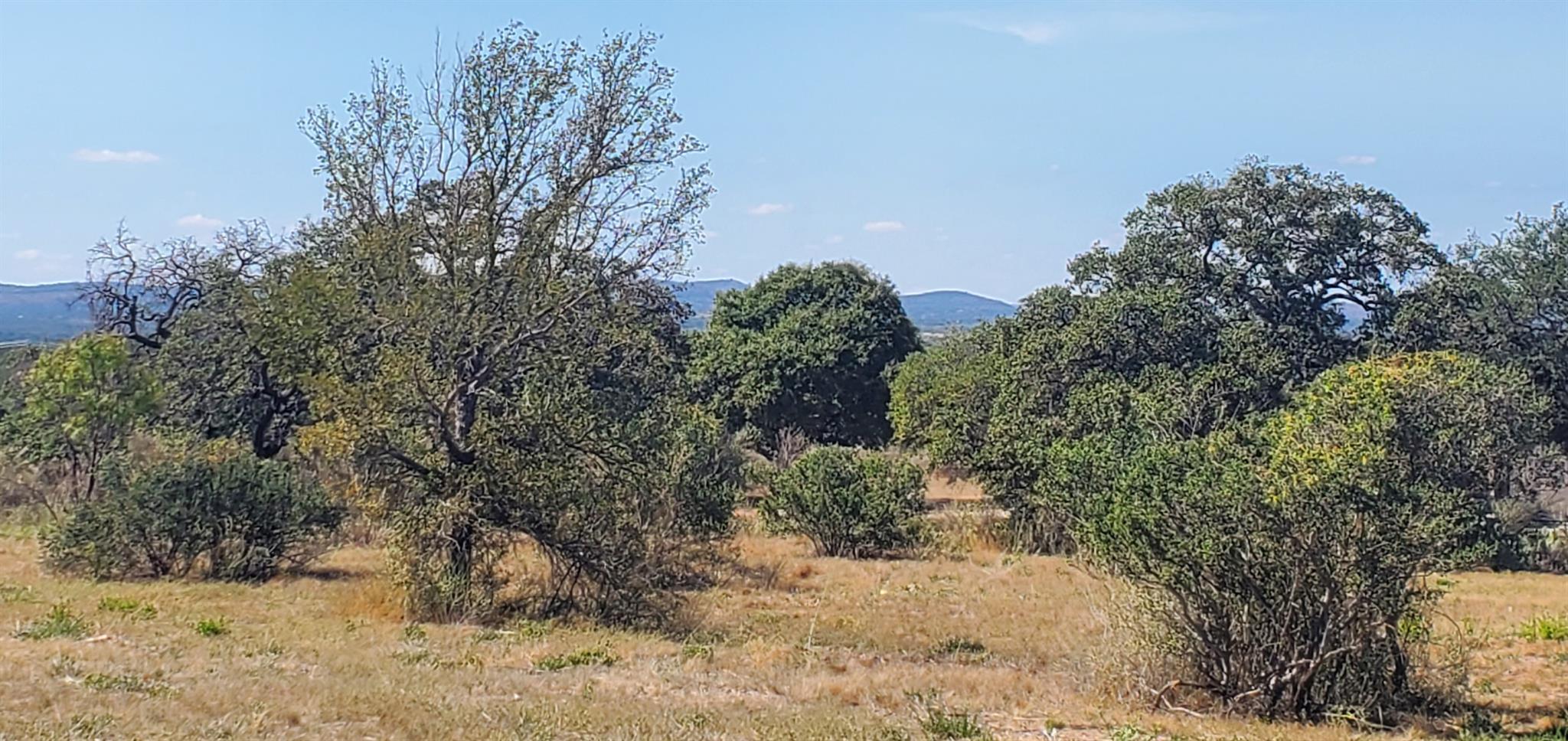 Tract 6 Lehne Loop Buchanan Dam TX 78609