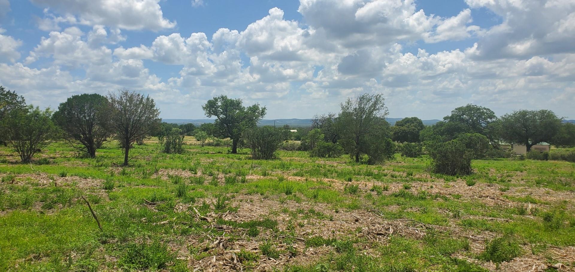 Tract 6 Lehne Loop Buchanan Dam TX 78609