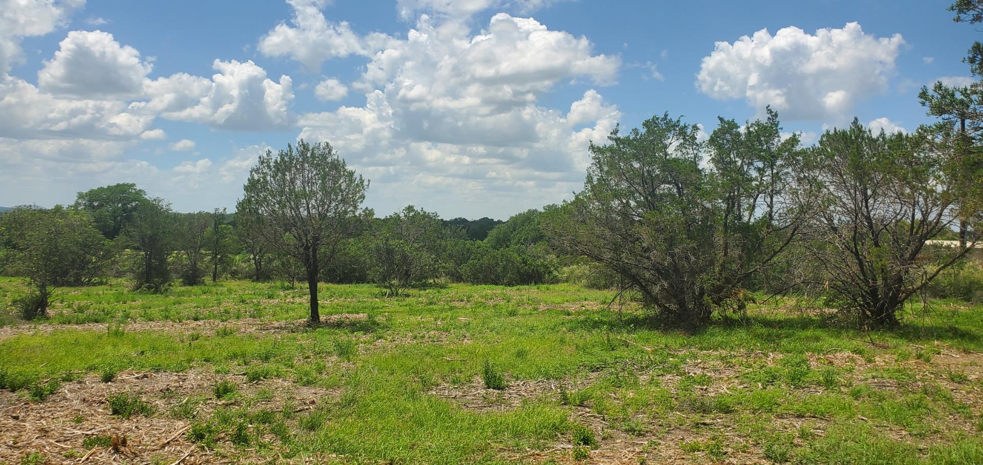 Tract 6 Lehne Loop Buchanan Dam TX 78609