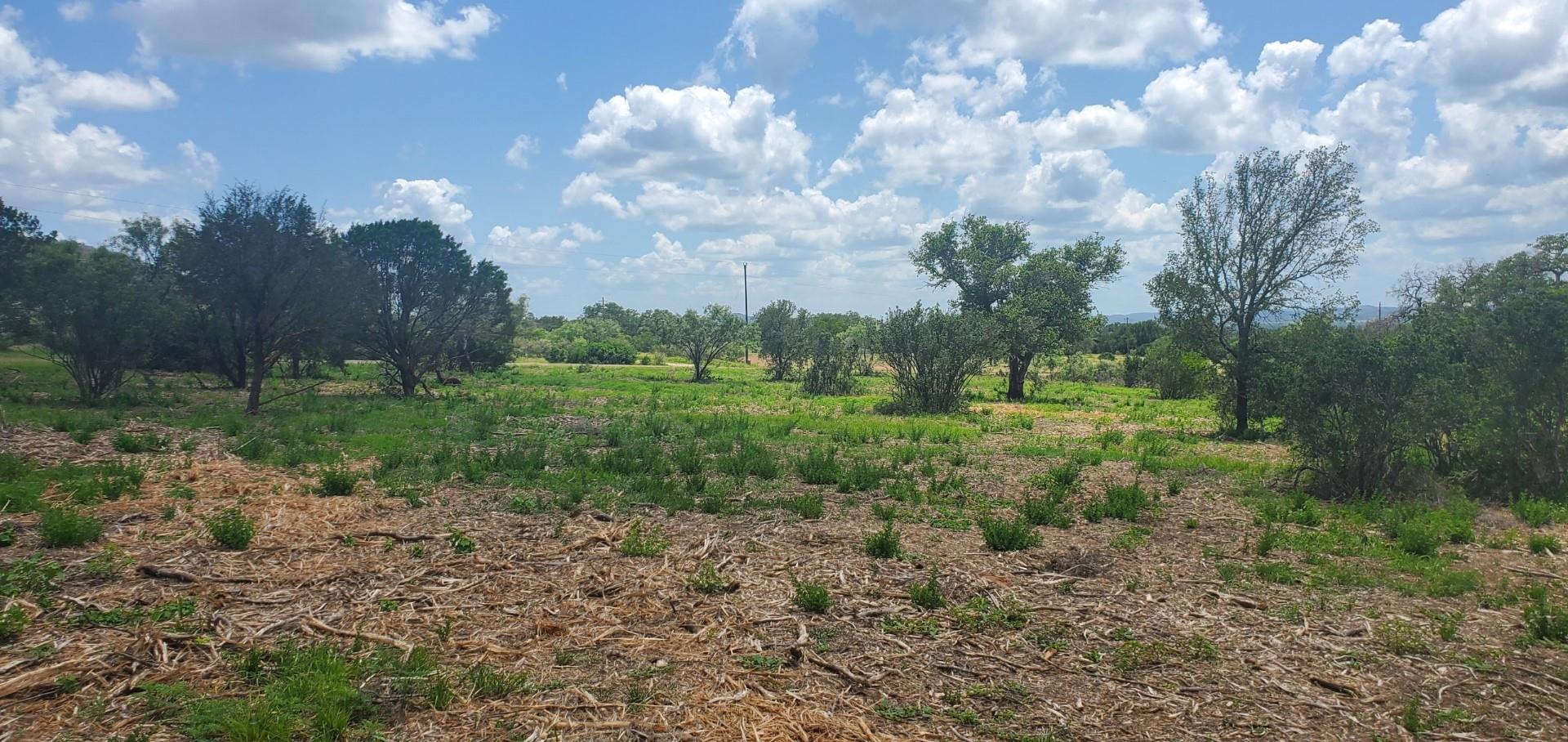 Tract 6 Lehne Loop Buchanan Dam TX 78609
