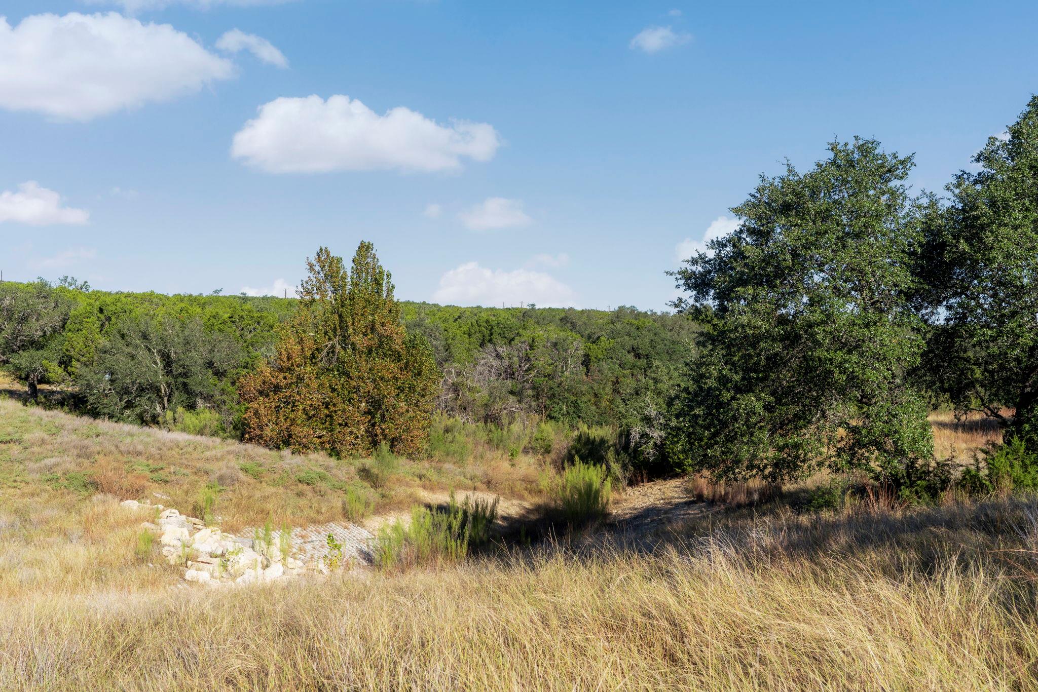 2021 Stagecoach Ranch Road Dripping Springs TX 78620