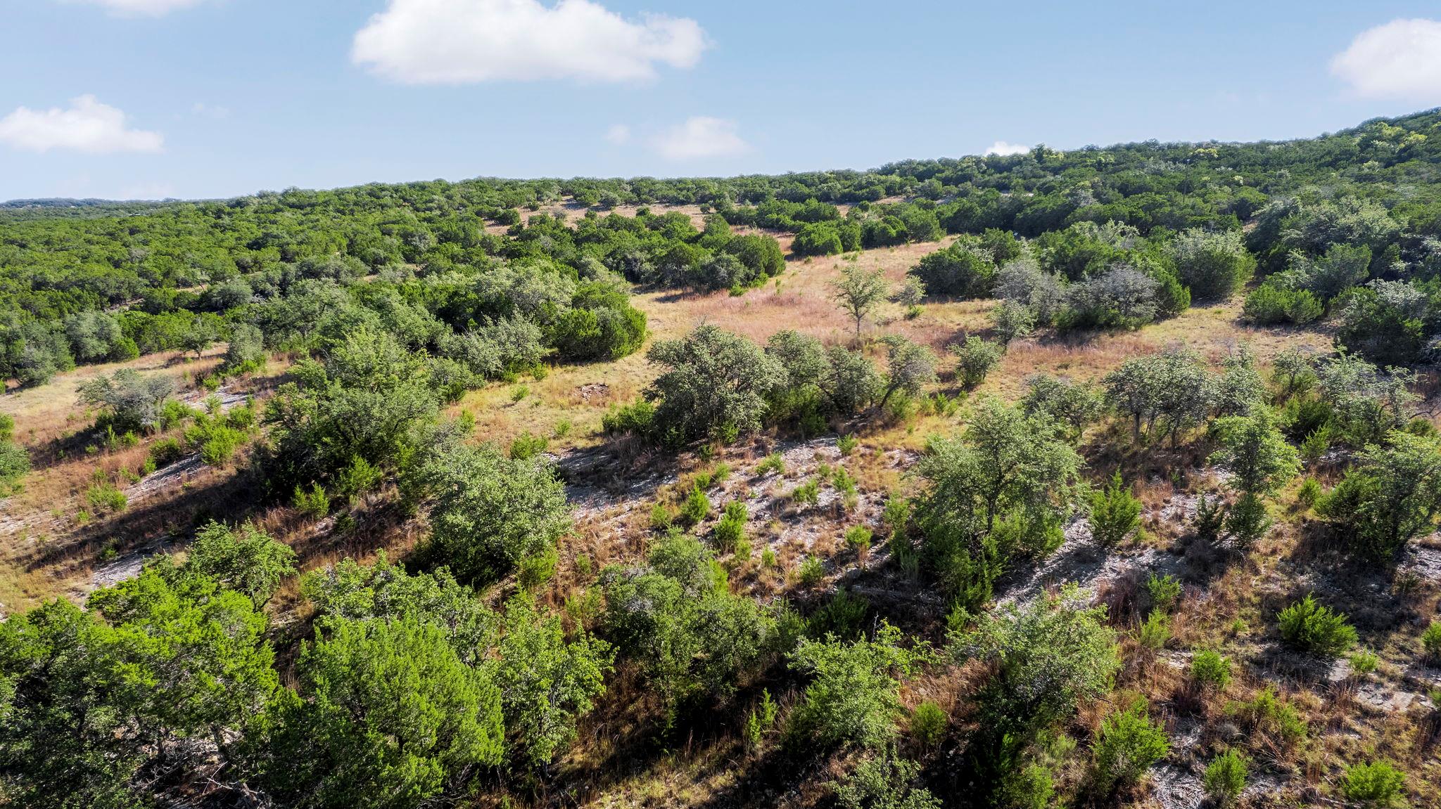 2021 Stagecoach Ranch Road Dripping Springs TX 78620