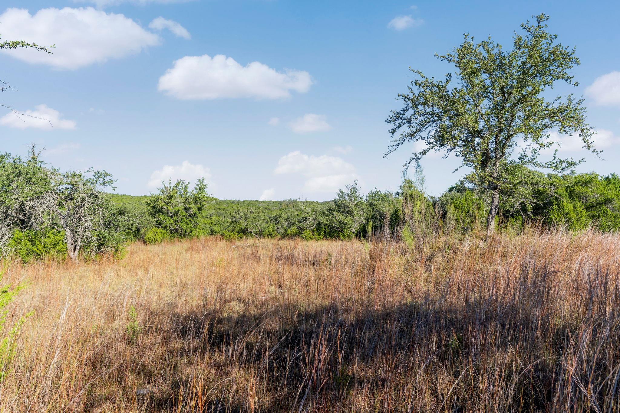 2021 Stagecoach Ranch Road Dripping Springs TX 78620