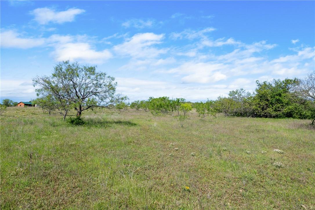 Tbd Cr 236 Liberty Hill TX 78605