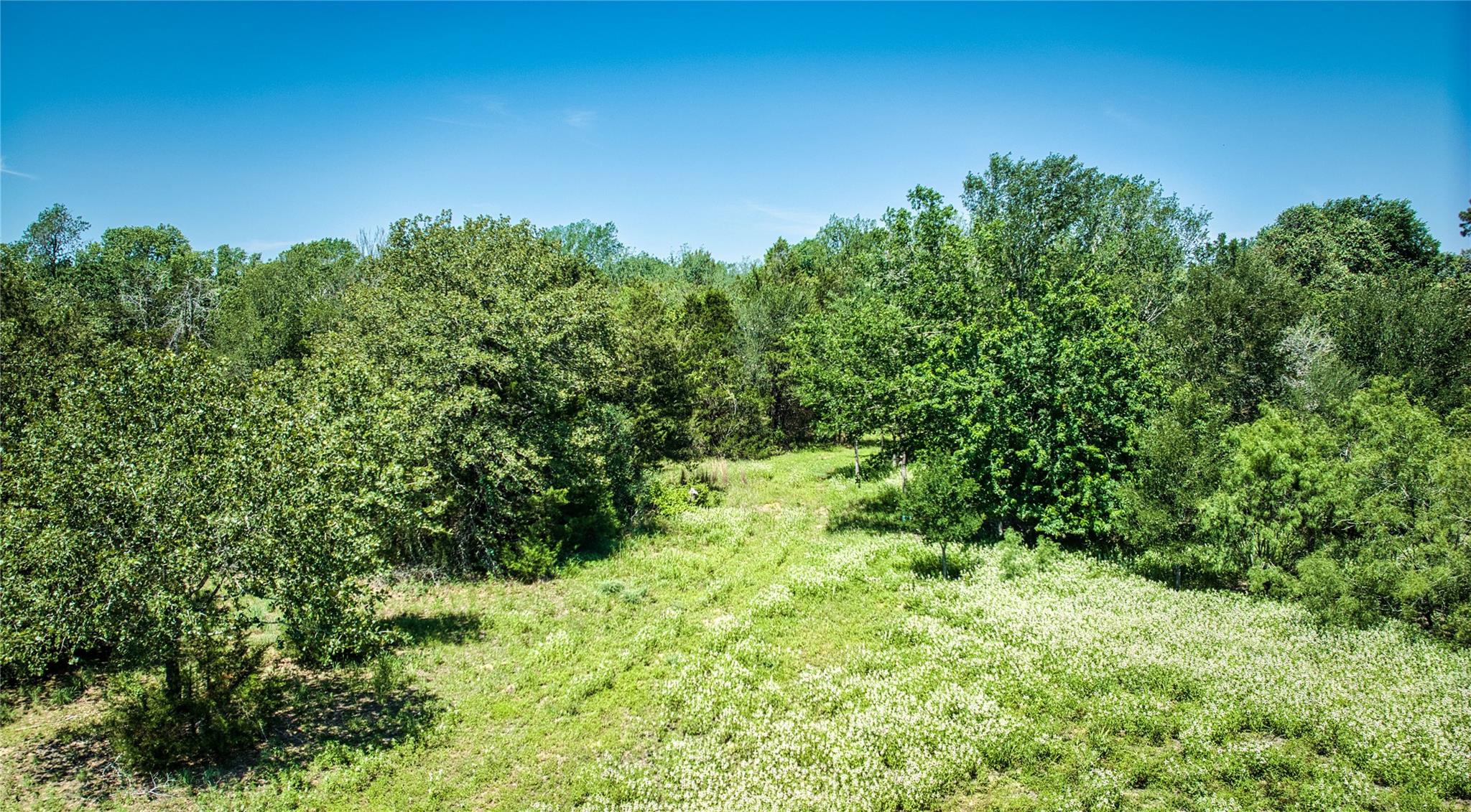 Lot 10c Foothill Road Bastrop TX 78602
