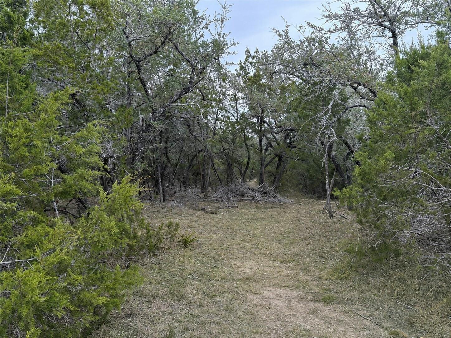 Lot 20e Overland Stage Road Dripping Springs TX 78620