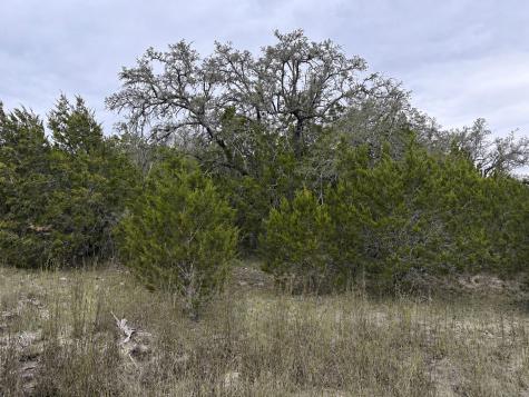 Lot 20e Overland Stage Road Dripping Springs TX 78620