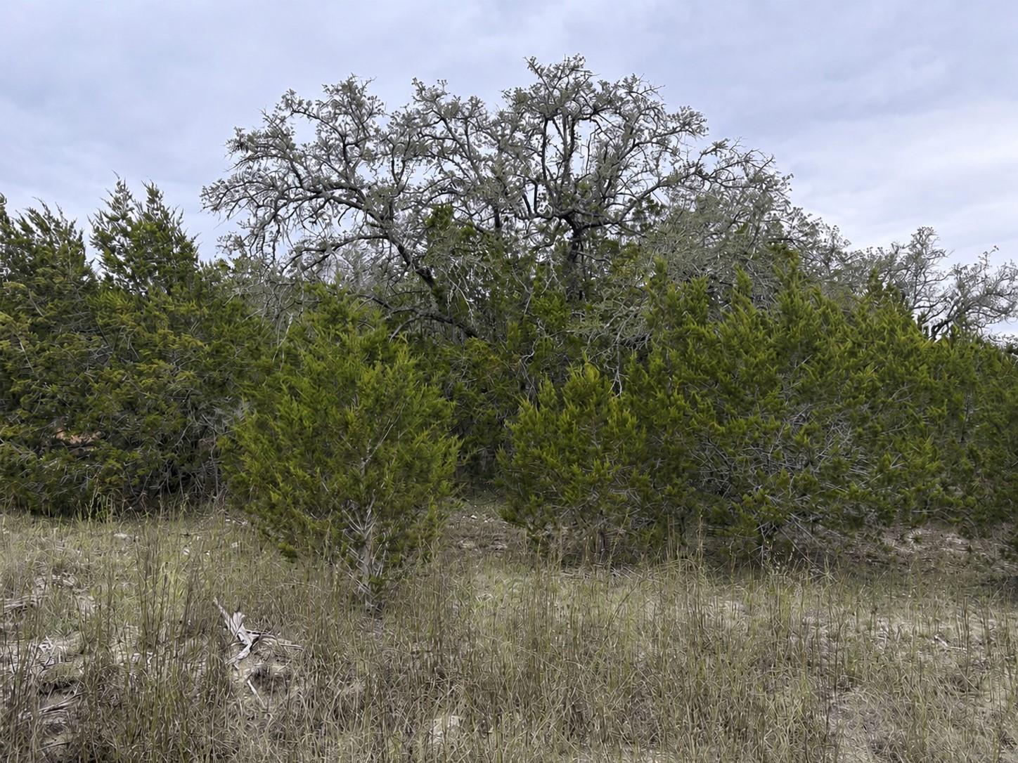 Lot 20e Overland Stage Road Dripping Springs TX 78620