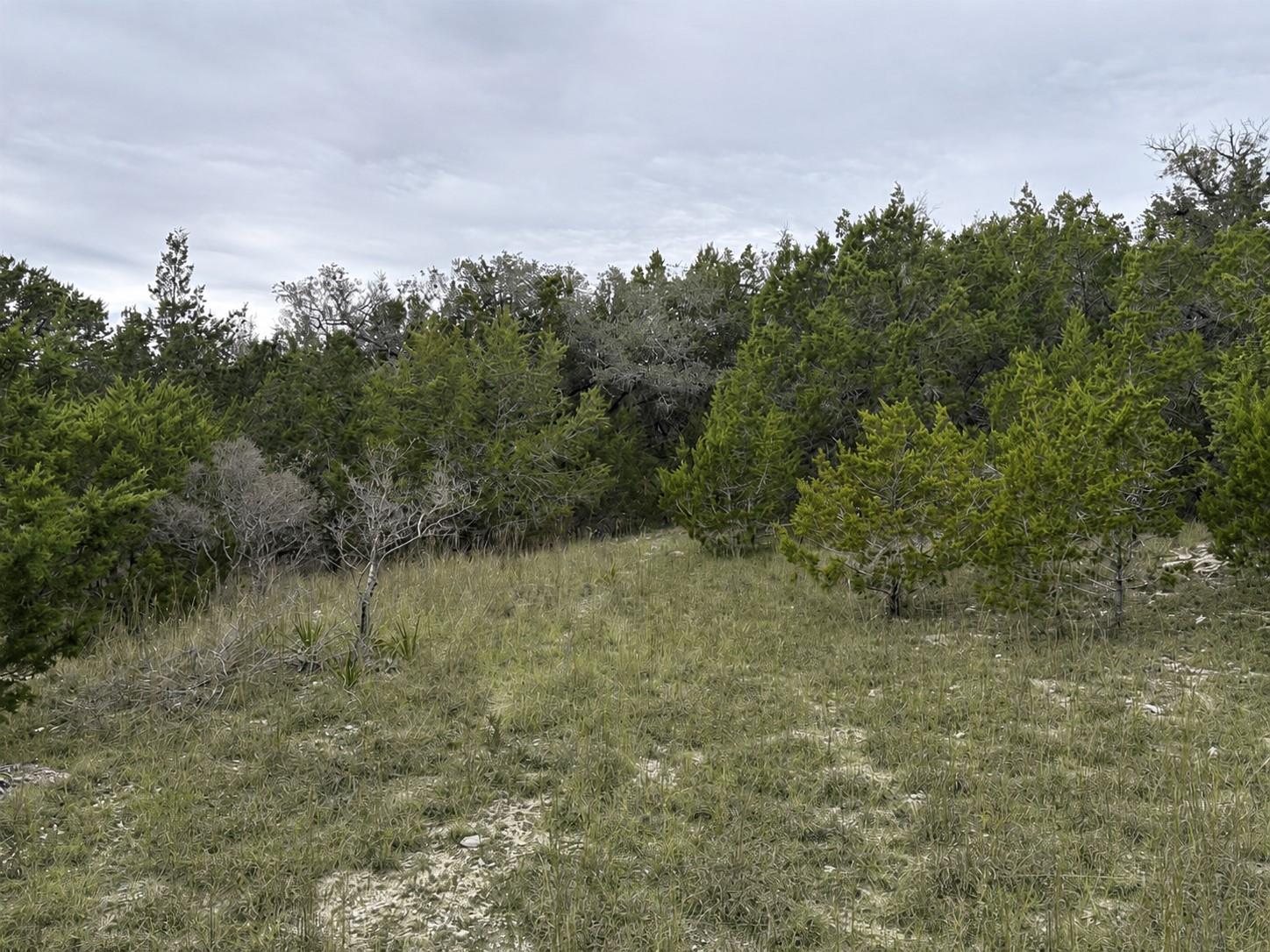 Lot 20e Overland Stage Road Dripping Springs TX 78620