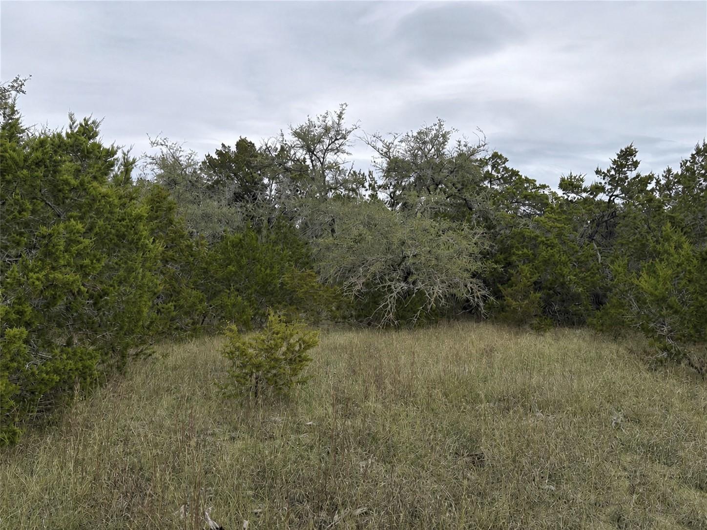 Lot 20e Overland Stage Road Dripping Springs TX 78620