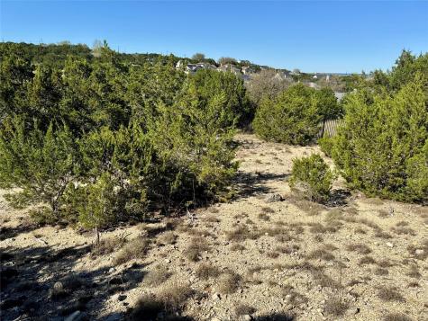 22122 Moulin Drive Spicewood TX 78669