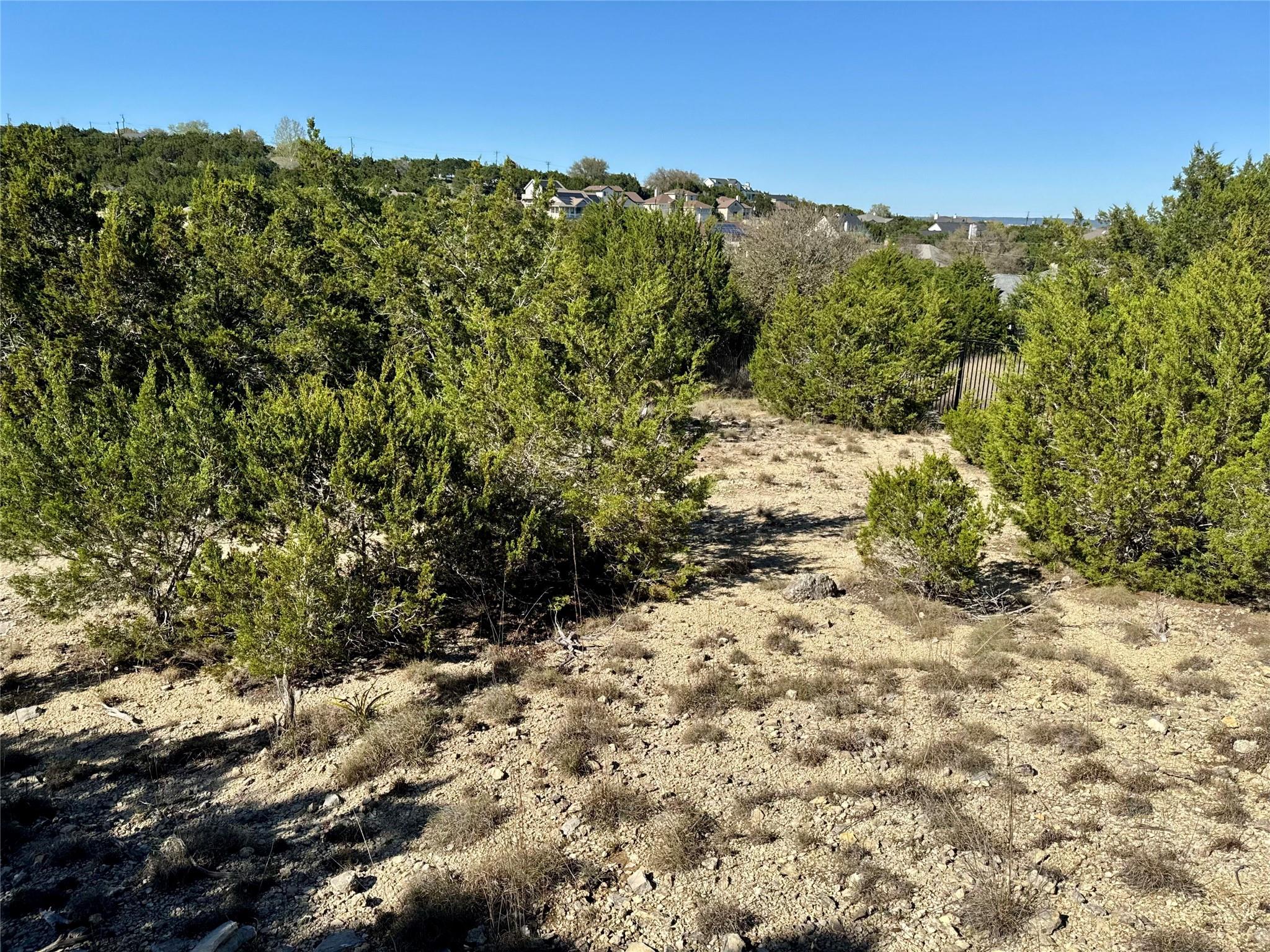 22122 Moulin Drive Spicewood TX 78669