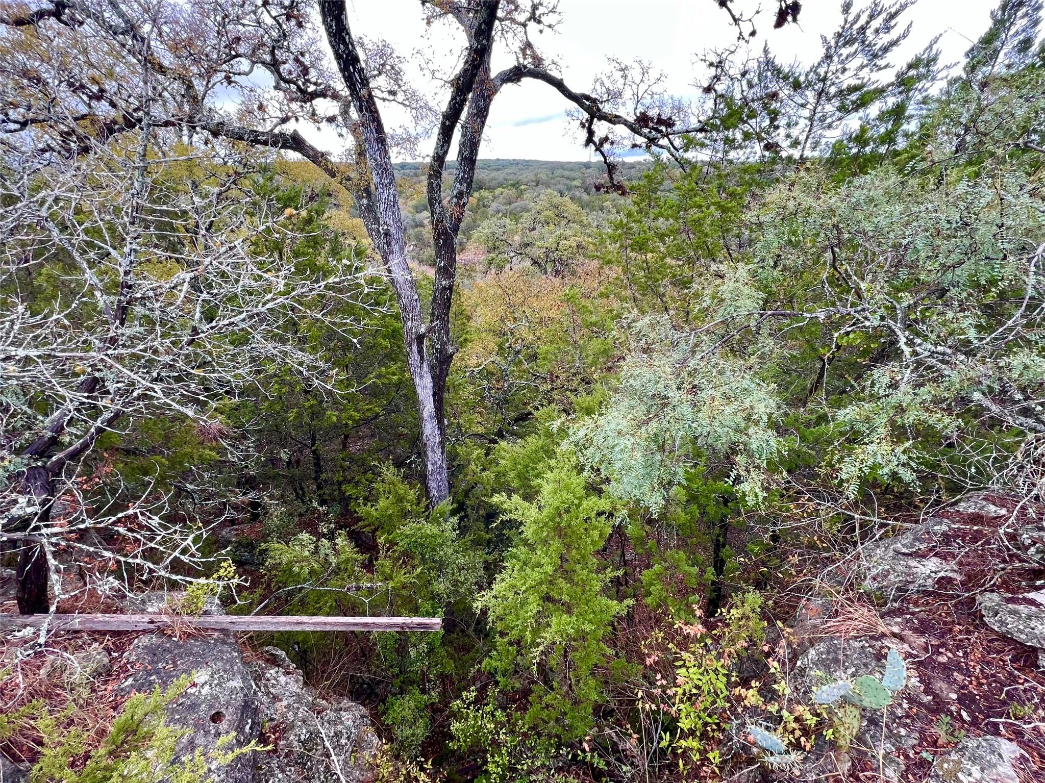 413 & 431 Turkey Drive Hollow Dripping Springs TX 78636
