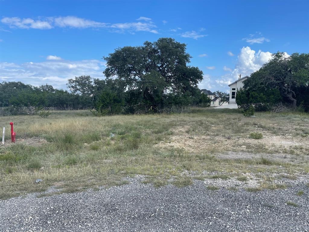 102 A T Miles Blanco TX 78606