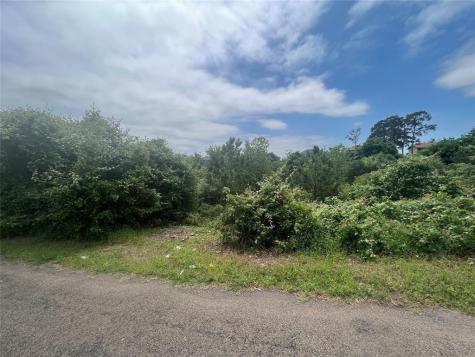 Tbdd Pahala Court Bastrop TX 78602