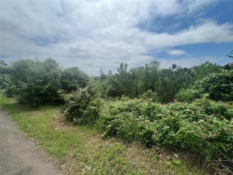 Tbdd Pahala Court Bastrop TX 78602