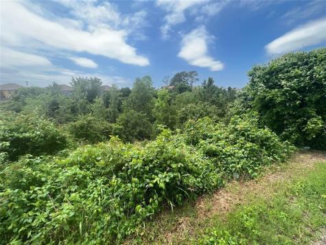 Tbdd Pahala Court Bastrop TX 78602
