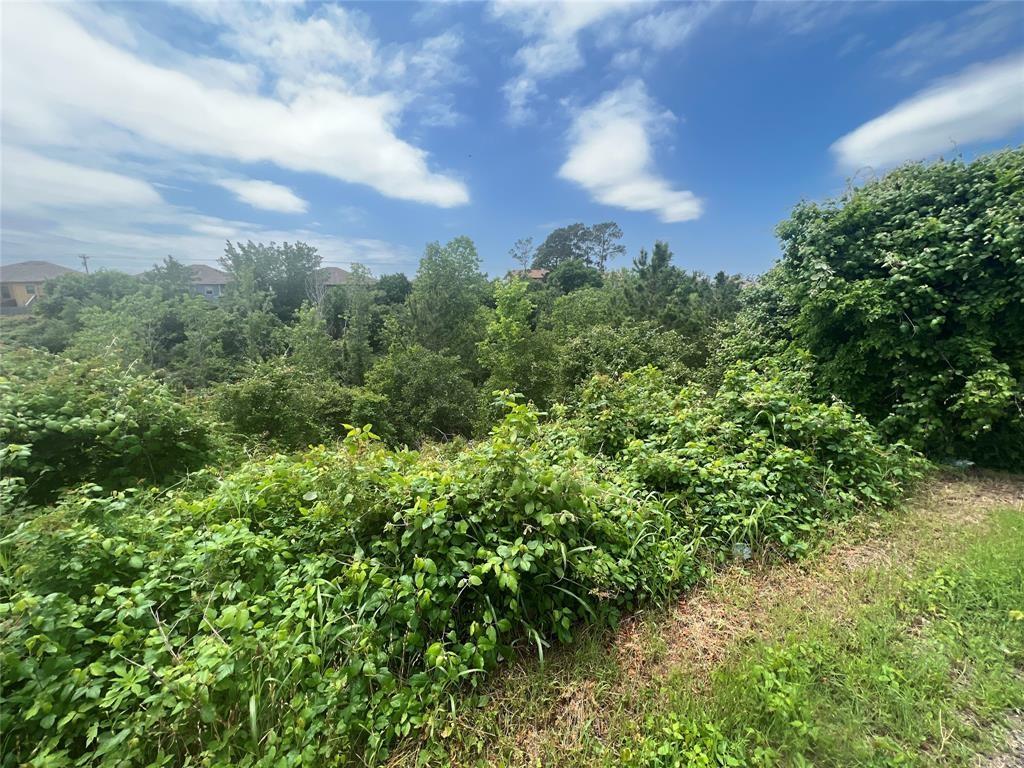 Tbdd Pahala Court Bastrop TX 78602
