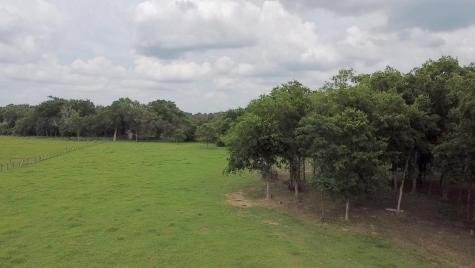 000 Fm 535 Rosanky TX 78953
